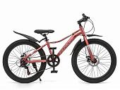 Велосипед 24 Equivalent Baska MD 6 ск р.12 розовый матовый 